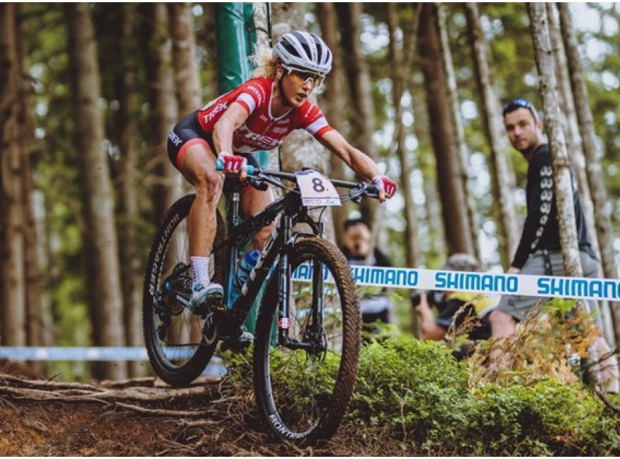 Shimano Bike Surge